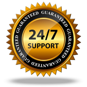 24 / 7 online support